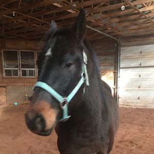 Meet your Posher, Amy